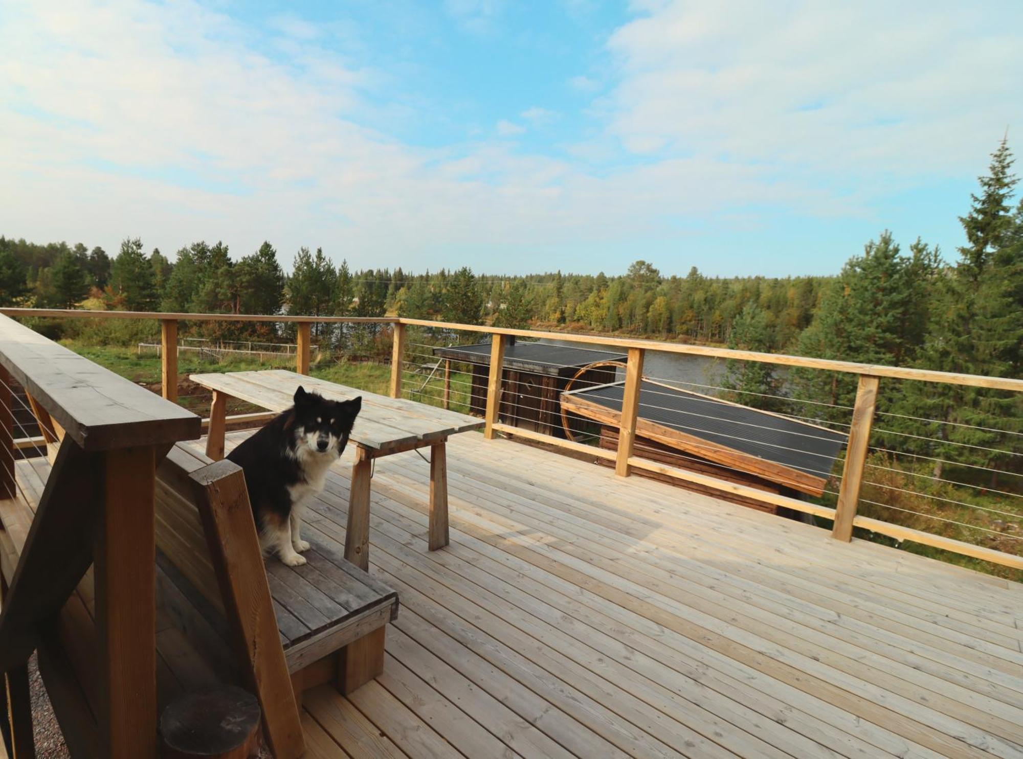 Cozy Cabin Styled Loft Kiruna Extérieur photo